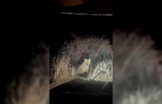 Park halindeki aracın etrafında dakikalarca dolaşan...