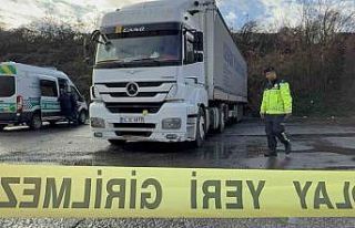 Park halindeki tırın dorsesinde ölü bulundu