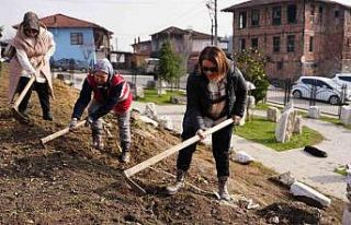 Park ve Bahçeler Müdürlüğü ekipleri bu sefer...