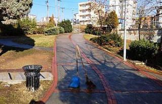 Park ve bahçelerde kış bakım çalışmaları