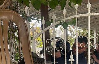 Patisi korkuluğa sıkışan kediyi itfaiye kurtardı