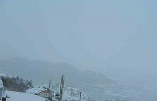 Posof’ta tipi etkili oluyor