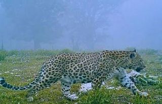 Prof. Dr. Şağdan Başkaya: "Pars’ın Anadolu’daki...