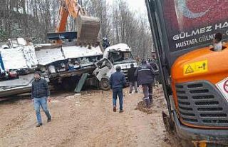 Sakarya’da feci kaza: Taş kırma makinesi, tırın...
