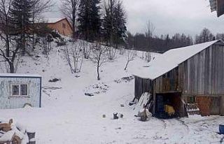 Sakarya’nın yüksek kesimleri beyaz gelinliğini...