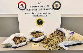 Samsun’da 5 kilo 700 gram skunk ele geçirildi:...