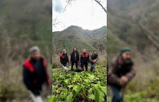 Samsun’da ava çıkan şahsın cansız bedeni bulundu