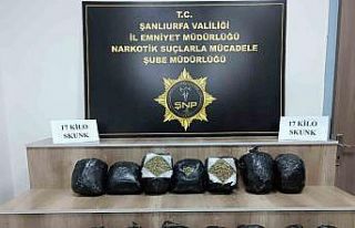 Şanlıurfa’da 17 kilo skunk ele geçirildi: 1 gözaltı