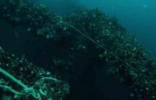 Serbest dalışçı, 1991 yılında İstanbul Boğazı’nda...