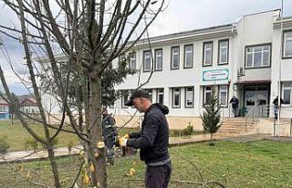 Serdivan Belediyesi’nden RAM Bahçesi’nde çalışma