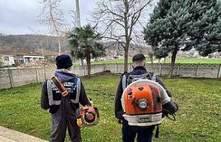 Serdivan’da yeşil alanlara düzenli bakım