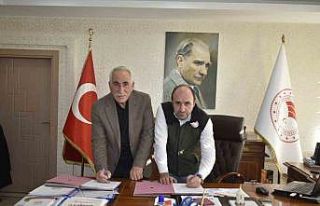 Sığırların küpelendirme ve kimliklendirme işlerini...