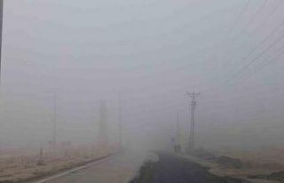Sincik ilçesinde sis etkili oldu
