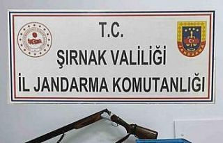 Şırnak’ta asayiş ve kaçakçılık operasyonu:...