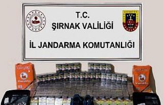 Şırnak’ta kaçakçılık operasyonları: 1 milyon...