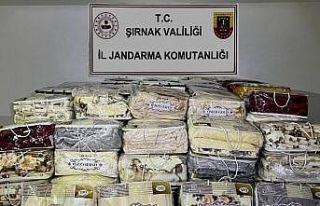 Şırnak’ta kaçakçılık operasyonuna 17 gözaltı