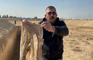 Suriye’de kadınların gömüldüğü toplu mezarlar...