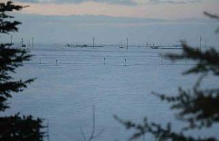 Tahıl ambarı Konya Ovası’nda kar yağışı rekolte...