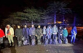 Tekirdağ’da 11 kaçak göçmen yakalandı