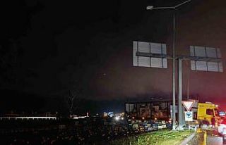 Tırdaki tonlarca narenciye yola savruldu