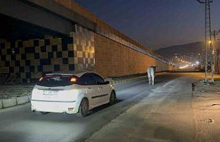 Tırdan kaçarak şehir turuna çıkan angus iğneyle...