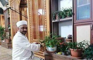 Tokatlı imam cami içini çiçek bahçesine çevirdi