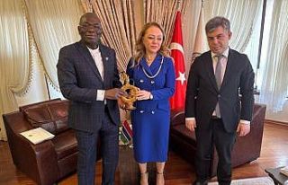 Türk şirketleri, Gambiya’da Kalkınma Projelerinde...