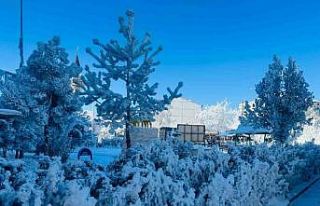 Türkiye’nin en soğuk yerleşim yerinde hayat durdu