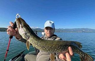 Turna balığı av yasağı başlıyor