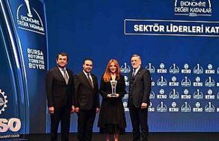 Uludağ Elektrik 2024 yılını sektör lideri ödülüyle...