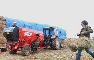 Üniversiteli çoban kış mevsiminde küçükbaş...