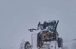 Van’da 420 yerleşim yerinin yolu ulaşıma kapandı