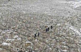 Vatandaş karanlıkta kalmasın diye elektrik direğini...