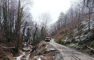 Yağışlarla birlikte meydana gelen heyelanlara anında...