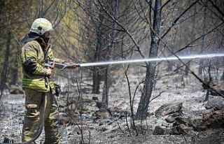 Yangınların bir yıllık ağır bilançosu