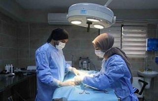 Yaralı halde bulunmuştu, adını portakal koydular