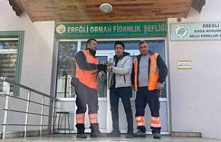 Yaralı şahin doğa koruma ekiplerine teslim edildi