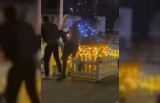 Yılbaşı ağacına baltalı saldırı kamerada