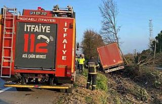 Yoldan çıkan tır, ağaçlık alana uçtu