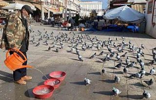 Yozgat esnafından güvercinlere şefkat eli