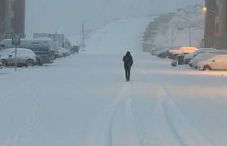 Yüksekova’da lapa lapa kar yağışı başladı
