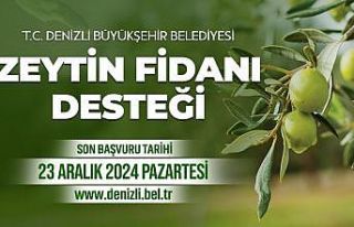 Zeytin fidanı desteği başvuru süresi uzatıldı