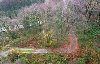 Zonguldak ormanlarında sonbahardan kışa geçiş...