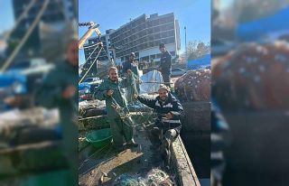 Zonguldak’ta barbun balığı bereketi