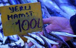 2024’te 200 TL olan hamsi 2025’te 100 TL’den...