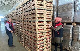 23 ülkeye 8 bin 700 ton domates ihracatı gerçekleştirildi