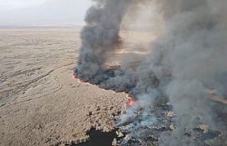 250’den fazla kuşa ev sahipliği yapan Sultan Sazlığı’nda...