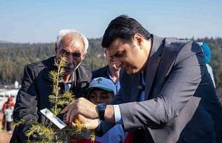 29. Etap Şehitkamil Ormanı Hacıbaba’da oluşturuldu