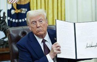 ABD’de federal yargıç, Trump’ın doğumla vatandaşlık...