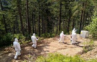 Adana’da 2024 yılında 26 bin 488 faydalı böcek...